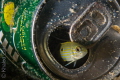   Fish Home  